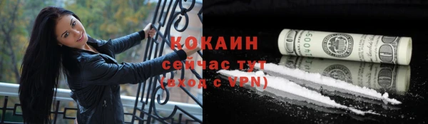 крисы Елизово