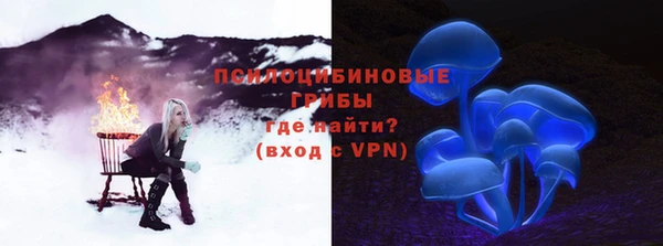 ешки Елабуга