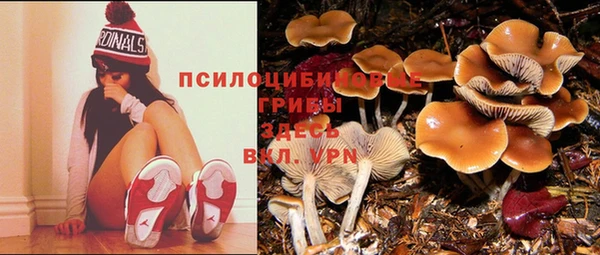 крисы Елизово