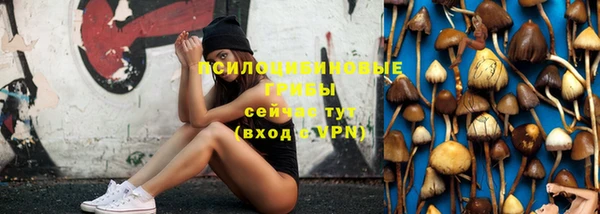 герыч Ельня