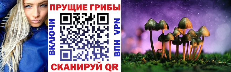 Галлюциногенные грибы Magic Shrooms  Купить  Хотьково 